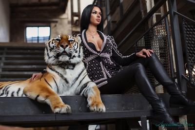 Хищники. Фотопроект с тигром