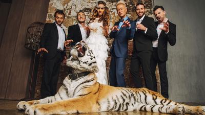 Фотосессия с тигром 👗 Платья в аренду и напрокат Story Dress Москва