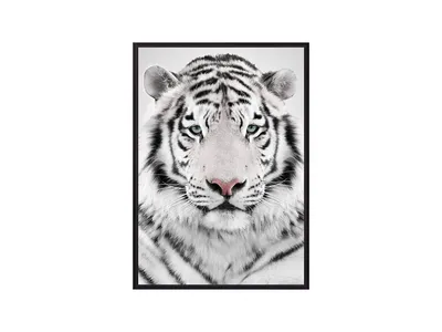 Фотообои Тигр у водопада купить в Москве, Арт. 17-4303 в интернет-магазине,  цены в Мастерфресок