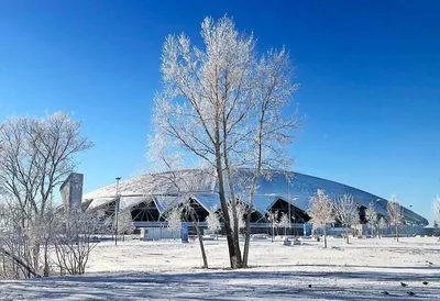 Первый день зимы в Самаре 1 декабря 2023: на город обрушился снегопад, фото  и видео - KP.RU