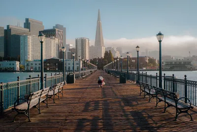 Все о городе Сан-Франциско для туристов | SkyBooking