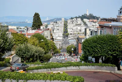 Landscape of San Francisco, Lombard Street | Cities of California, USA  Travel | San francisco travel, San francisco sites, Usa san francisco