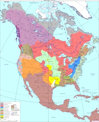 Северная Америка: география. Географические характеристики и особенности Северной  Америки