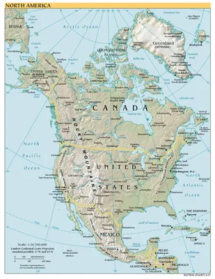 Карта Северной Америки из дерева купить - zotwoods.ru