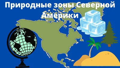 Животный мир Северной Америки