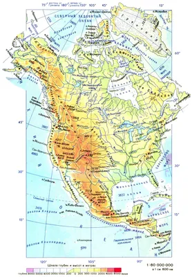 Карта Северной Америки с животными Иллюстрация вектора - иллюстрации  насчитывающей вал, кактус: 65260988