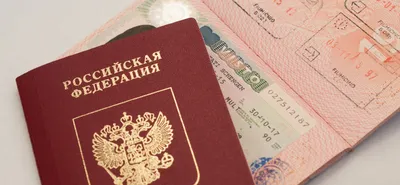 Каждая четвертая шенгенская виза в 2017 году была выдана гражданам России |  Туристический бизнес Санкт-Петербурга