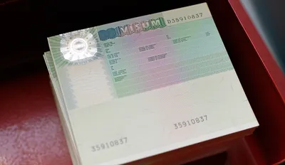 Немецкие паспорта и заявление на визу Стоковое Фото - изображение  насчитывающей взгляд, эмиграция: 176052018