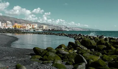 Тенерифе в августе: отдых и погода на Тенерифе (Испания)