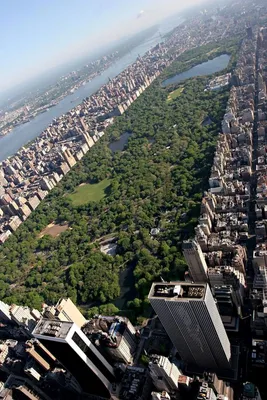 Центральный парк Нью-Йорка - легендарный и самый посещаемый парк Америки |  Первый познавательный | Дзен
