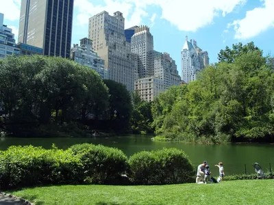 Центральный парк г. Нью-Йорк | Ландшафтный дизайн садов и парков