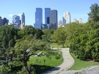 TRAVELMANIA.UA - 📌 Центральный парк, Нью-Йорк, США 🇺🇸 Это ж сколько  можно было офисов настроить? 🦅 | Facebook