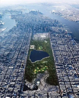 История Центрального Парка в Нью-Йорке (New York Central Park) | City  wallpaper, City lights wallpaper, City lights at night