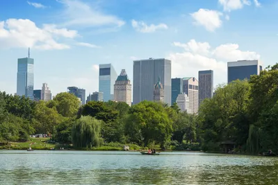 Центральный парк Нью-Йорка как глоток свежего воздуха. В этом году -  особенно | Азбука иммигранта | Дзен
