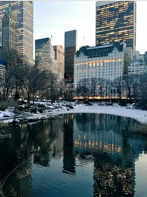 В Центральном парке Нью-Йорка состоится концерт в честь победы над  коронавирусом - Новости | Planet of Hotels