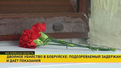 Я думала, кто-то из прохожих»: что сейчас известно о двойном убийстве |  bobruisk.ru