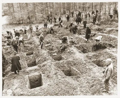 Слабонервным не смотреть. Американцы заставляют простых немцев откапывать  трупы, 1945