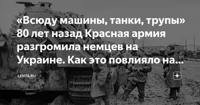 Трупы немецких солдат на обочине Приморского шоссе юго-западнее г.  Кенигсберга, оставшиеся после боя. Движение повозок с советскими бойцами  3-го Белорусского фронта | Победа. 1941 – 1945.