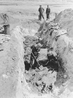 В Сальске перезахоронили останки женщин, детей, стариков, зверски убитых во  время немецкой оккупации | Сальскньюс