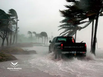 Ураган «Эльза» движется к США. Он уже разрушил дома на Барбадосе и  Гренадинах | РБК | Дзен