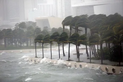 Крупнейшие ураганы в США – Картина дня – Коммерсантъ