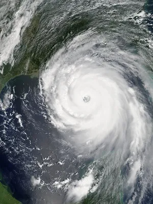 США: Ураган Идалия приближается к Флориде, его классифицируют как шторм  третьей категории