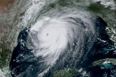 Катрина (ураган) — Википедия