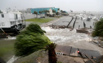 США накрыл ураган «Майкл». Как он повлияет на акции страховых компаний |  РБК Инвестиции