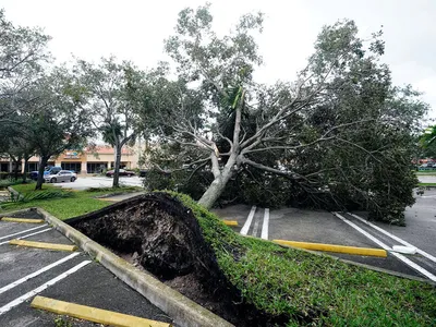 Последствия урагана «Ханна» в США. Фоторепортаж — РБК