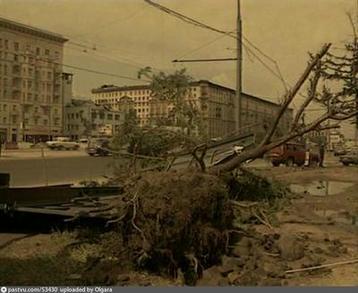 В интернет выложили фото и видео сильнейшего урагана в Москве - Российская  газета