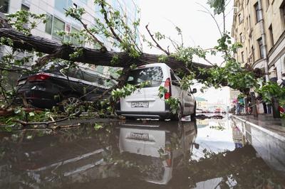 Поваленные деревья и разбитые машины. Пользователи соцсетей делятся фото и  видео последствий урагана в Москве и области Спектр