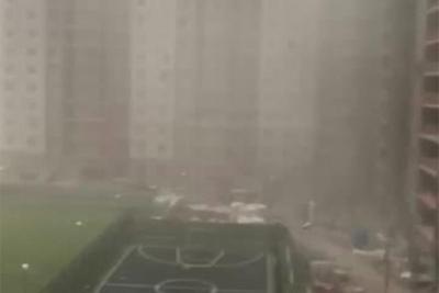 Ураган в Москве унёс жизни 16 человек - Орск: Orsk.ru