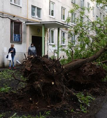 Последствия урагана в Москве | РИА Новости Медиабанк