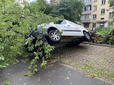Москвичи поделились видео урагана и последствий ливней – Москва 24,  17.09.2020