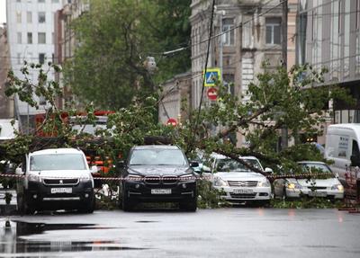 Последствия урагана в Москве: 11 человек погибли, 150 пострадали -  30.05.2017, Sputnik Таджикистан