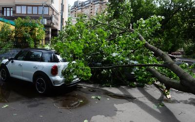 Мрачные тучи и дикий ветер: кадры разразившегося урагана в Москве