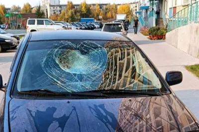 Сброшенный с балкона пакет с водой разбил стекло автомобиля в Новосибирске  | АиФ Новосибирск | Дзен