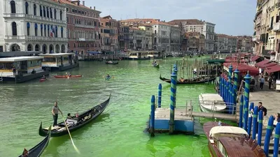 Венеция - знаменитые каналы Венеции пересохли - фоторепортаж — УНИАН