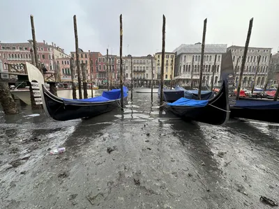 В Венеции почти пересохли каналы из-за отлива