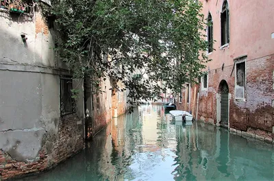 Мы в Венеции — сегодня машина может отдохнуть, отзыв от туриста 097mcn на  Туристер.Ру
