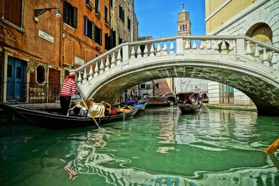 Wall Street Journal: Венеция страдает от засилья туристов | Подмосковье  Сегодня