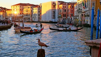 Венеция вводит плату за посещение – какие будут условия для туристов | РБК  Украина