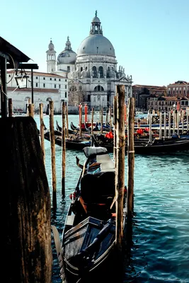 Венеция зимой. Италия. | Venice in winter, Venice italy gondola, Venice  italy travel