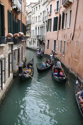 Венеция, Венеция, Венеция — каналы, гондольеры и мосты, отзыв от туриста  Maximus67 на Туристер.Ру