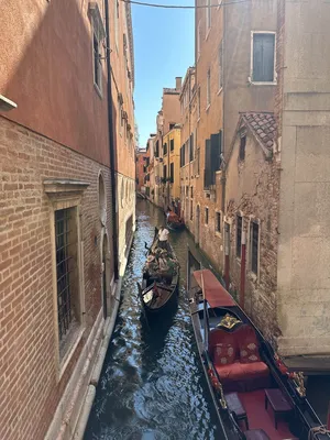 Венеция ограничит доступ для туристов - город устанавливает систему  слежения за гостями и турникеты на входах - детали