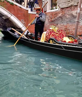 Венеция скоро утонет. Мифы и правда про итальянскую Атлантиду. Венеции 1600  лет | АРТЕМ ПЛАТО PRO | Дзен
