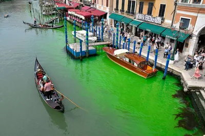 Mystery behind bright green water in Venice Canal solved, officials say -  ABC News