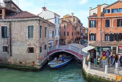 Photos: Water in Venice, Italy's canals clear amid COVID-19 lockdown