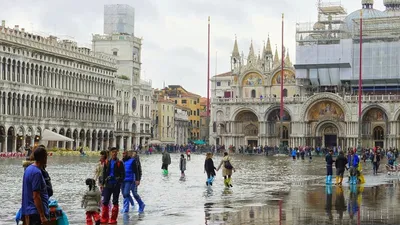7 Interesting Facts About Piazza San Marco In Venice, Italy |  EnjoyTravel.com