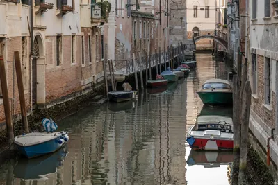 Venice, Italy, Is Being Destroyed by Tourism and Flooding - WanderWisdom